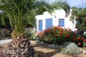 Sun Rock Apartments_best deals_Apartment_Cyclades Islands_Naxos_Agios Prokopios