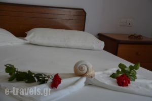 Poseidon Studios_lowest prices_in_Apartment_Dodekanessos Islands_Astipalea_Analipsi