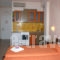 Konstantza Studios_lowest prices_in_Apartment_Cyclades Islands_Syros_Syrosora