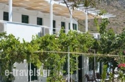 Oasis in Kamares, Sifnos, Cyclades Islands