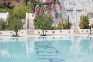 Venezia Bungalows_best prices_in_Hotel_Dodekanessos Islands_Karpathos_Karpathos Chora