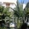 Sissy Hotel_holidays_in_Hotel_Piraeus islands - Trizonia_Aigina_Aigina Rest Areas