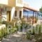 Talos Studios_accommodation_in_Hotel_Crete_Rethymnon_Plakias