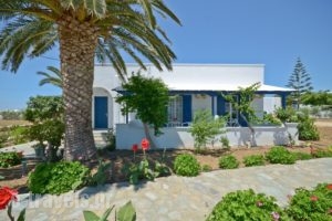 Marousa Rooms_holidays_in_Room_Cyclades Islands_Naxos_Agia Anna