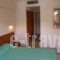 Emily Hotel_best prices_in_Hotel_Aegean Islands_Samos_Samosst Areas