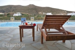 Villa Sofia_lowest prices_in_Villa_Cyclades Islands_Andros_Agios Petros