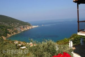 Sea View Studios_holidays_in_Hotel_Sporades Islands_Skopelos_Skopelos Chora