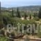 Aristea Studios_holidays_in_Hotel_Ionian Islands_Kefalonia_Kefalonia'st Areas