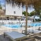 Blue Nest_best deals_Hotel_Dodekanessos Islands_Kos_Kos Rest Areas