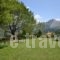 Aloni_best deals_Room_Epirus_Arta_Theodoriana