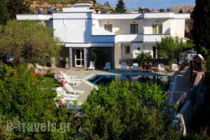 Dimitra Sun_best deals_Hotel_Dodekanessos Islands_Rhodes_Archagelos