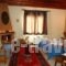 Villa Anthemia_holidays_in_Villa_Macedonia_Imathia_Naousa