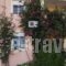Villa Paris_accommodation_in_Villa_Crete_Lasithi_Sitia
