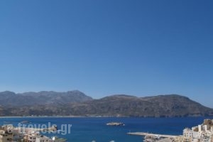 Roses Studios_best prices_in_Hotel_Dodekanessos Islands_Karpathos_Karpathos Chora