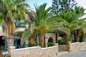 Hotel Zeus_best prices_in_Hotel_Cyclades Islands_Sandorini_kamari