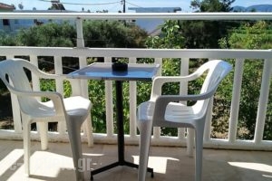 Erieta_accommodation_in_Apartment_Ionian Islands_Zakinthos_Laganas