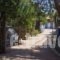 Xeni Camp & Bungalows_holidays_in_Room_Peloponesse_Argolida_Nafplio