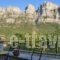 Arkefthos Mountain Hotel_best deals_Hotel_Epirus_Ioannina_Papiggo