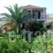 Zacharogianni Studios_accommodation_in_Hotel_Ionian Islands_Lefkada_Vasiliki