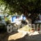 Junior_holidays_in_Apartment_Sporades Islands_Skyros_Skyros Rest Areas