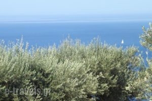 Il Veliero_travel_packages_in_Ionian Islands_Kefalonia_Kefalonia'st Areas