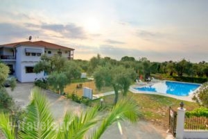 Hotel Nefeli_lowest prices_in_Hotel_Aegean Islands_Thasos_Thasos Chora