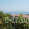 Lygies Apart Hotel_holidays_in_Hotel_Ionian Islands_Kefalonia_Mousata