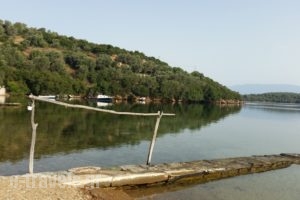 Thea Houses_lowest prices_in_Room_Thessaly_Magnesia_Milina