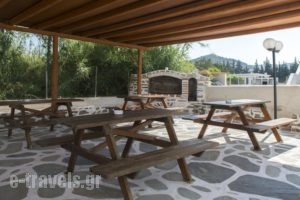 Malamas Apartments_best deals_Apartment_Cyclades Islands_Paros_Paros Chora