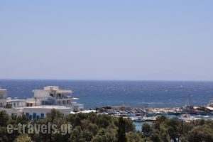 Hotel Vicky_accommodation_in_Hotel_Cyclades Islands_Paros_Piso Livadi