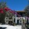 Katerina Pension_travel_packages_in_Sporades Islands_Skopelos_Panormos