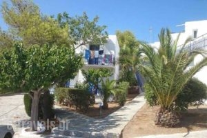 Aetos Beach Bungalows_accommodation_in_Hotel_Central Greece_Evia_Karystos