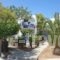 Aetos Beach Bungalows_accommodation_in_Hotel_Central Greece_Evia_Karystos