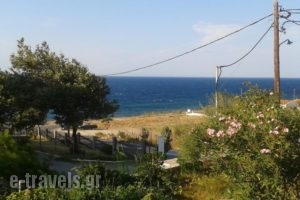 Panorama_best deals_Hotel___
