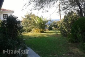 Panorama_holidays_in_Hotel___