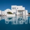 Aria Suites_lowest prices_in_Hotel_Cyclades Islands_Sandorini_Fira