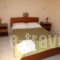 Ammousa Apartments_best deals_Apartment_Ionian Islands_Kefalonia_Lixouri