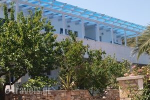 Ikion Studios_accommodation_in_Hotel_Sporades Islands_Alonnisos_Alonissosst Areas