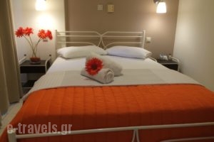 Sunny Studios_accommodation_in_Room_Ionian Islands_Kefalonia_Svoronata