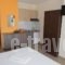 Rooms Elena_best deals_Room_Macedonia_Halkidiki_Nea Potidea