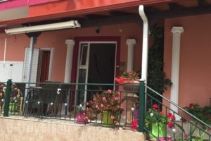 Pansion Olga_accommodation_in_Room_Epirus_Preveza_Parga