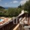 Evridiki's Villas_accommodation_in_Villa_Ionian Islands_Lefkada_Agios Ninitas