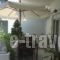Studios Elena_best prices_in_Room_Aegean Islands_Lesvos_Lesvos Rest Areas