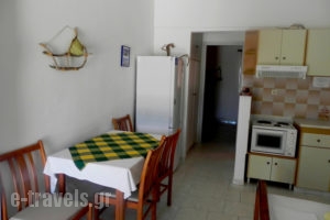 Perasma Studios_lowest prices_in_Apartment_Cyclades Islands_Andros_Andros Rest Areas