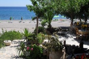 V&C Paradise Apartments_accommodation_in_Apartment_Crete_Rethymnon_Plakias