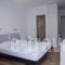 Filion Apartments_best deals_Room_Ionian Islands_Lefkada_Lefkada Chora