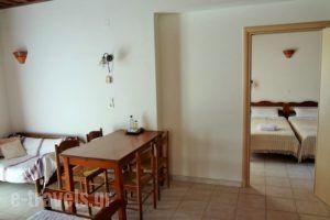 Eriki Studios_lowest prices_in_Room_Crete_Chania_Kantanos