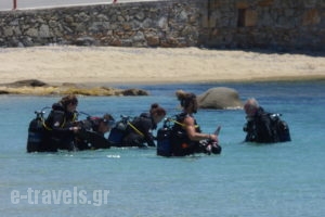 Gratsias Luxury Apartments_accommodation_in_Room_Cyclades Islands_Naxos_Naxos Rest Areas