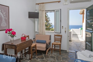Parathyro Sto Aigaio 1_best deals_Apartment_Cyclades Islands_Tinos_Tinos Chora