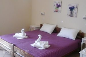 Petrakis Sea View_lowest prices_in_Room_Crete_Chania_Palaeochora